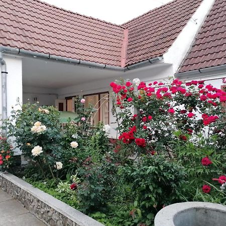 Pensiunea Spack Hotel คริสเตียน ภายนอก รูปภาพ