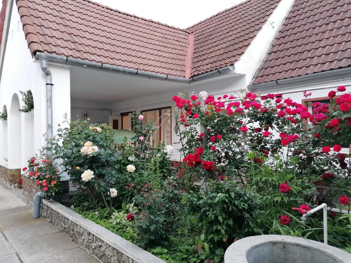 Pensiunea Spack Hotel คริสเตียน ภายนอก รูปภาพ